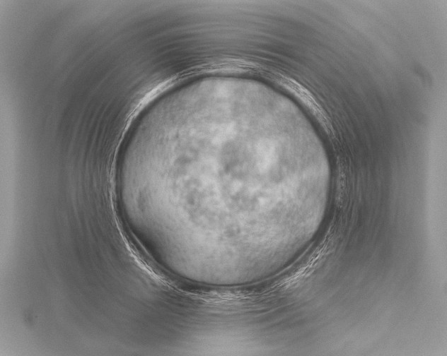 X0000115770850200912041430