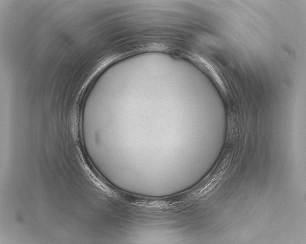 X0000115770851200912041430