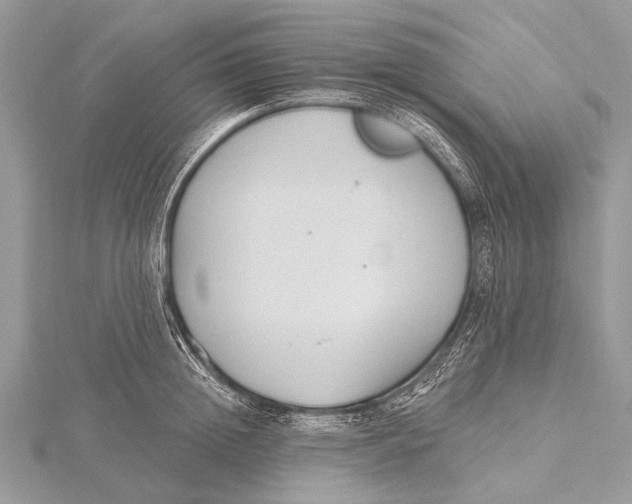 X0000115770852200912041430