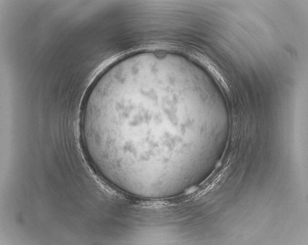 X0000115770853200912041430