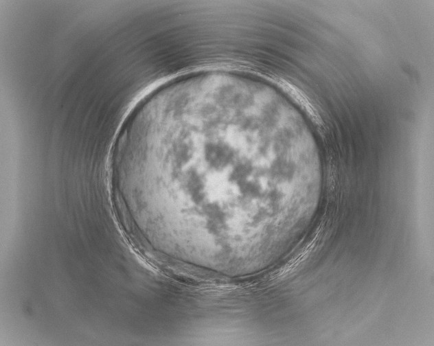 X0000115770854200912041430