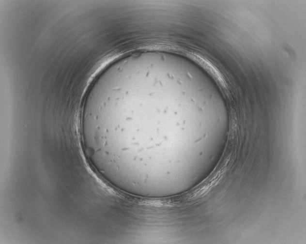 X0000115770855200912041430