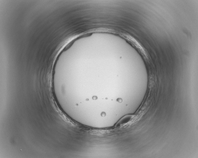 X0000115770860200912041430