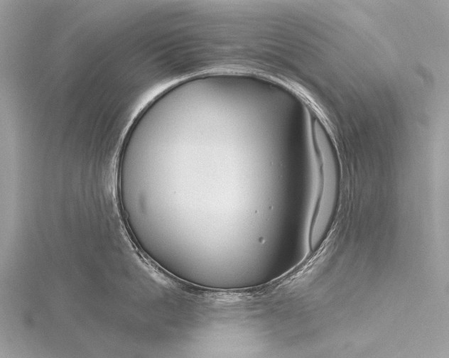 X0000115770862200912041430