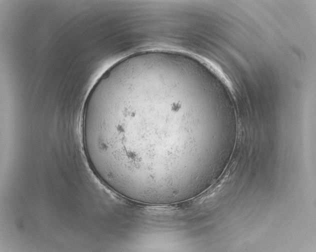 X0000115770863200912041430