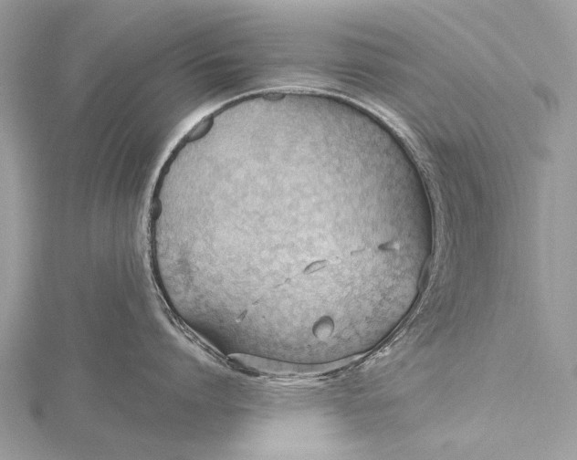 X0000115770864200912041430