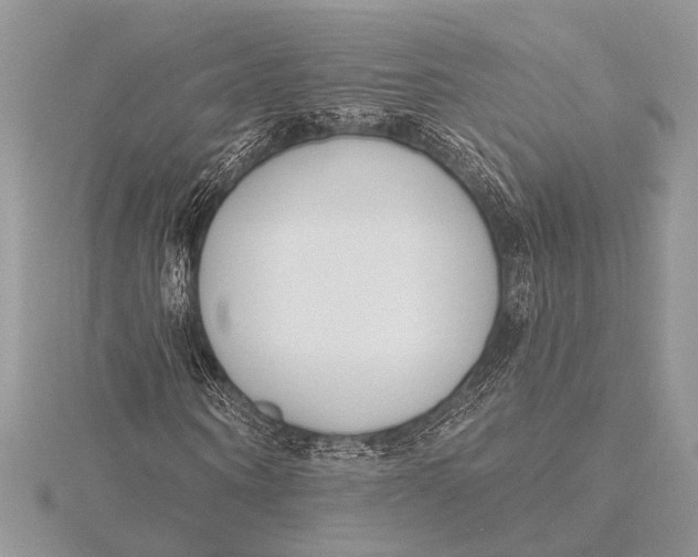 X0000115770866200912041429