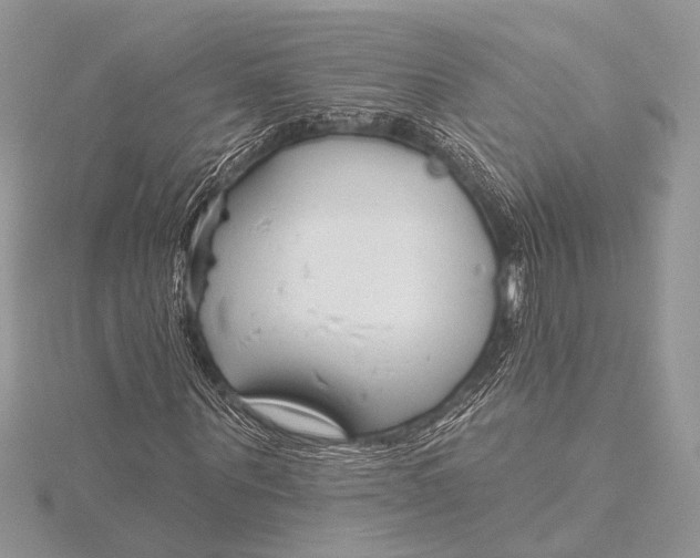 X0000115770867200912041429