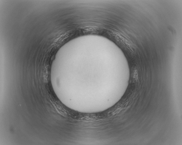 X0000115770868200912041429