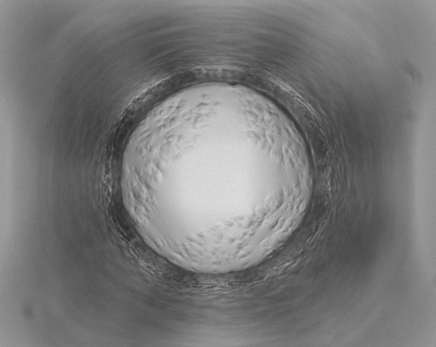 X0000115770870200912041429