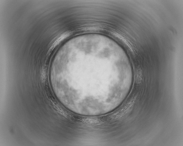 X0000115770874200912041429