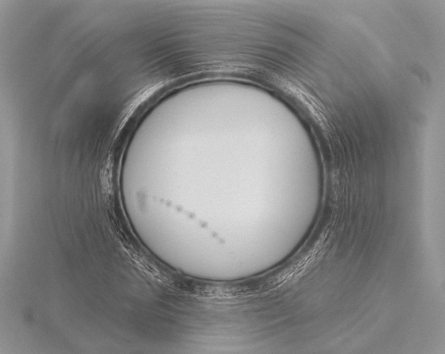 X0000115770875200912041429