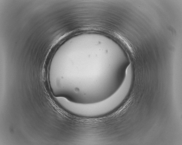 X0000115770876200912041429