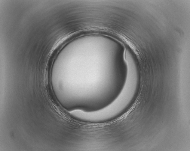 X0000115770877200912041429