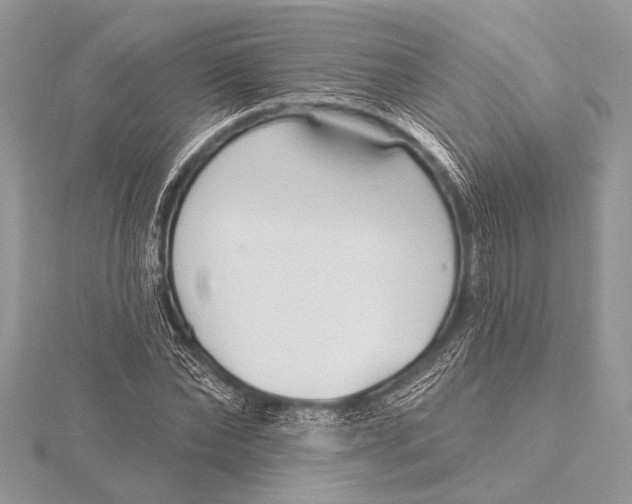 X0000115770878200912041429