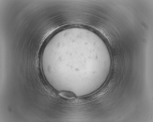 X0000115770879200912041429