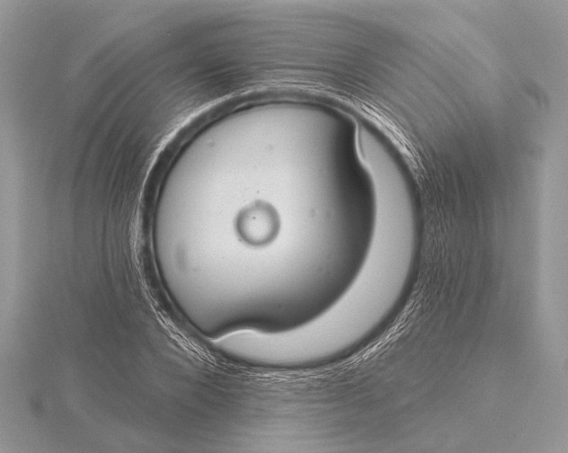 X0000115770880200912041429