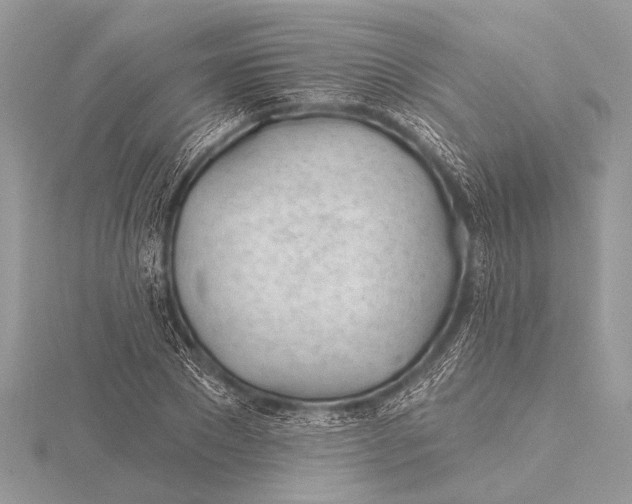 X0000115770881200912041429