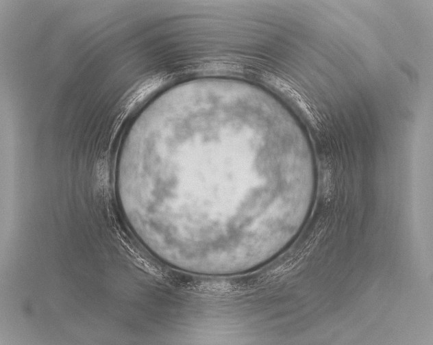 X0000115770882200912041429