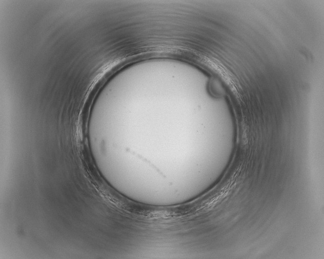 X0000115770883200912041429