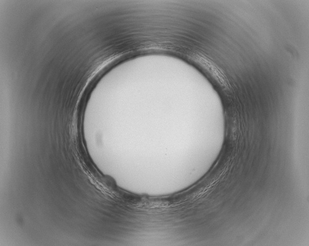 X0000115770884200912041429