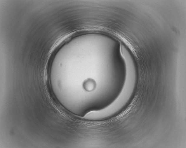 X0000115770885200912041429