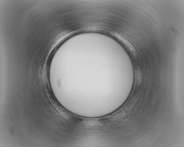 X0000115770886200912041429