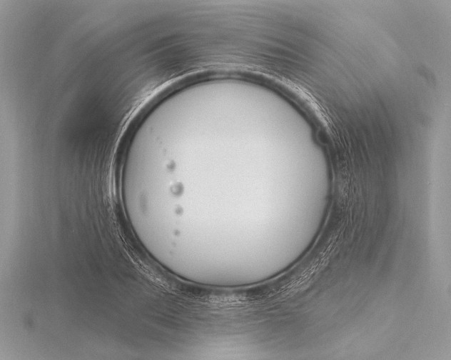 X0000115770887200912041429