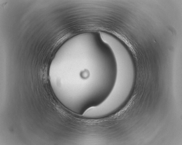 X0000115770889200912041429