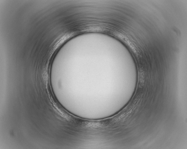 X0000115770890200912041429