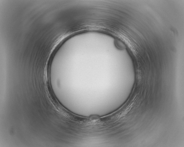 X0000115770891200912041429