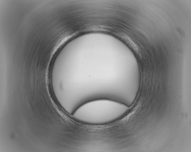 X0000115770893200912041429