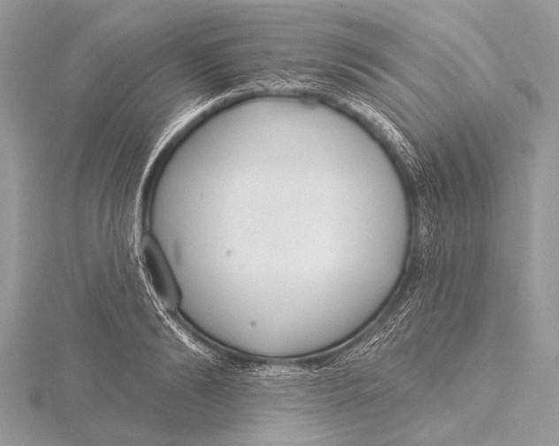 X0000115770894200912041429