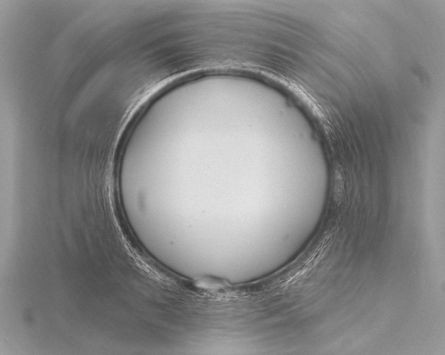 X0000115770895200912041429