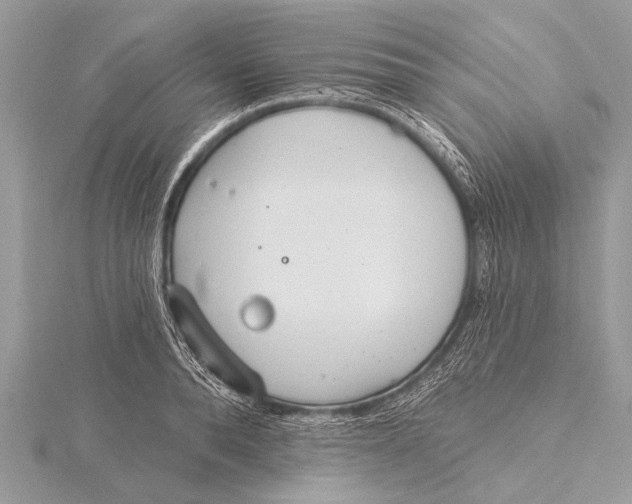 X0000115770896200912041429