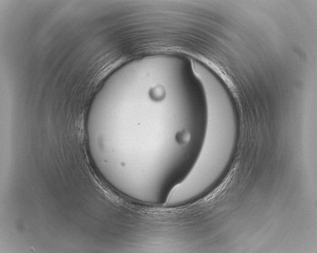 X0000115770897200912041429