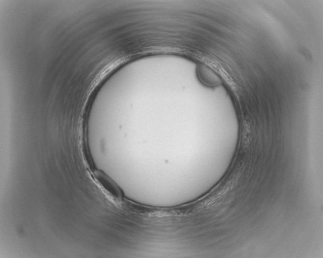 X0000115770898200912041429