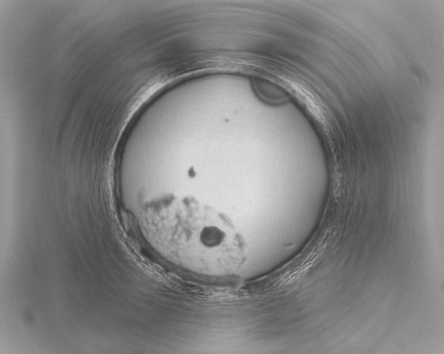 X0000115770899200912041429