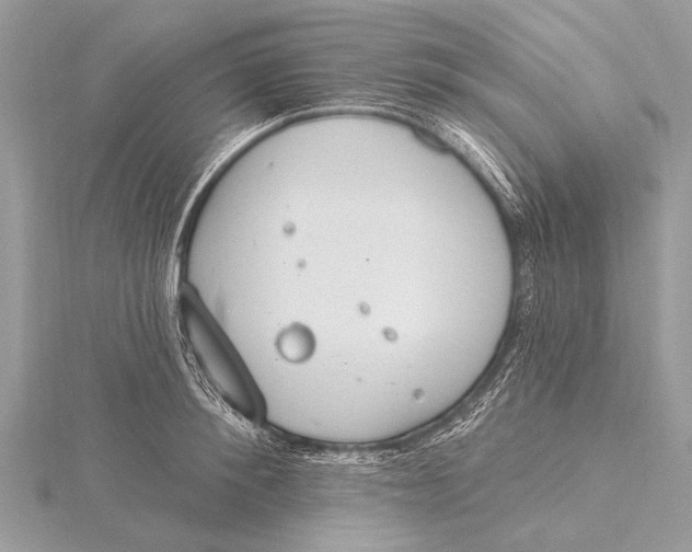 X0000115770900200912041429