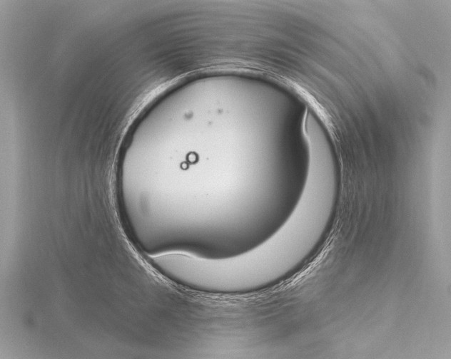 X0000115770901200912041429