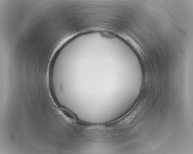 X0000115770902200912041429