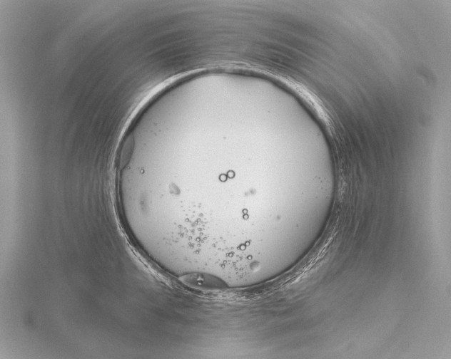 X0000115770903200912041429