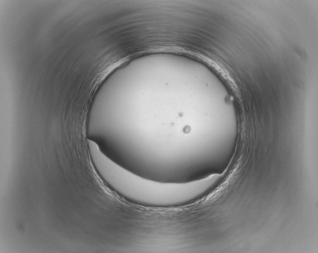 X0000115770905200912041429