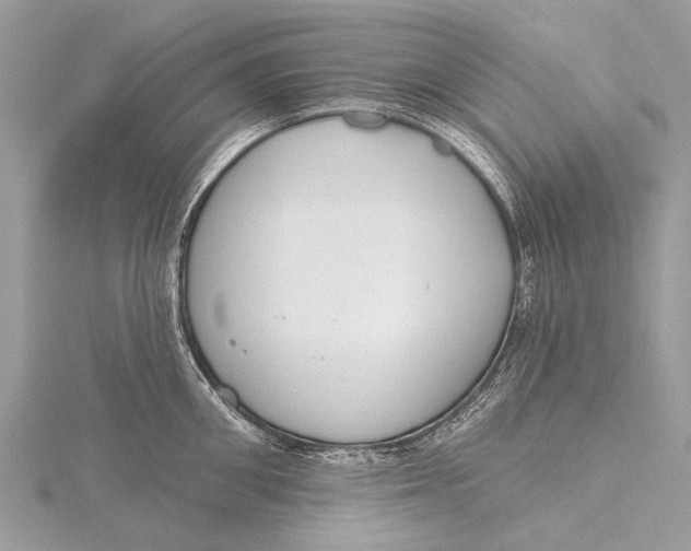 X0000115770906200912041429