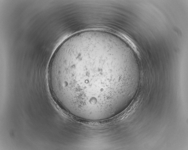 X0000115770907200912041429