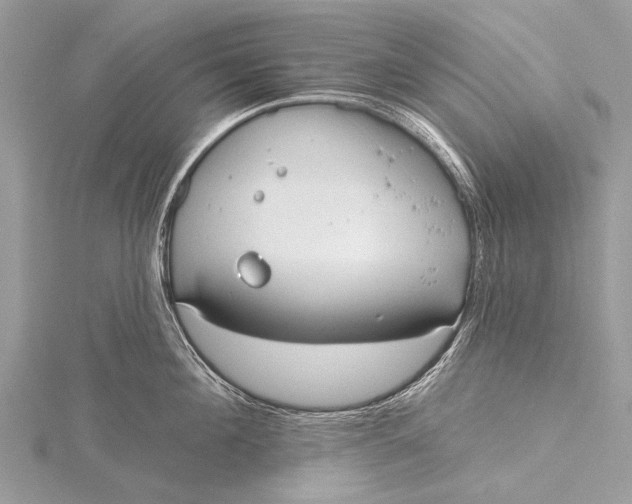 X0000115770908200912041429