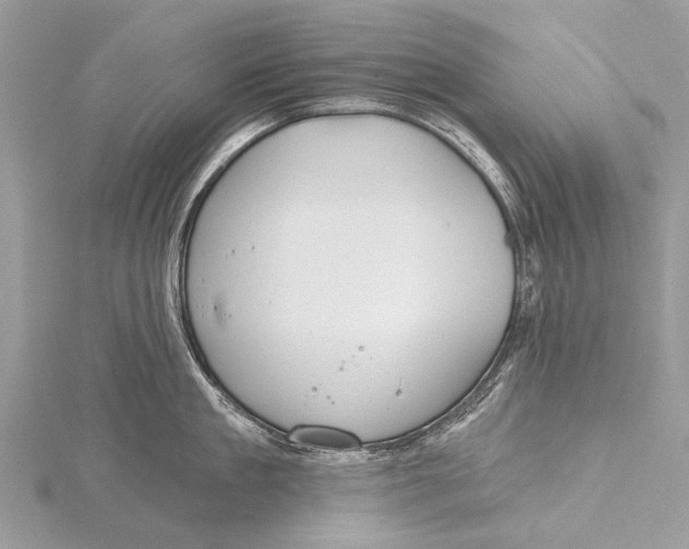 X0000115770909200912041429