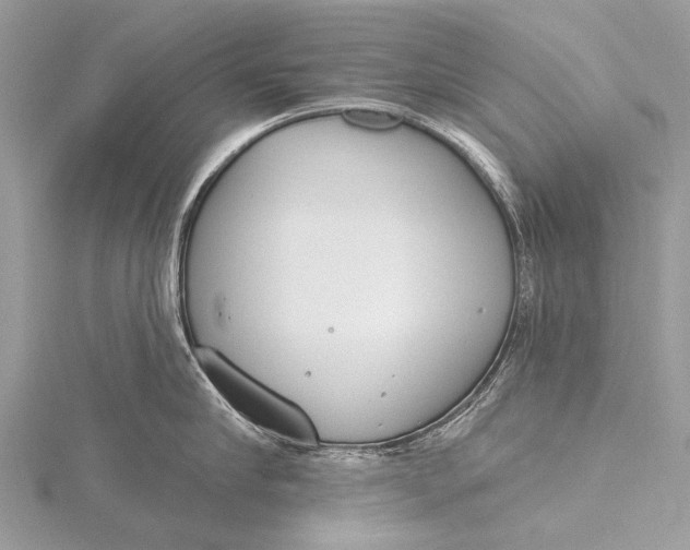 X0000115770910200912041429