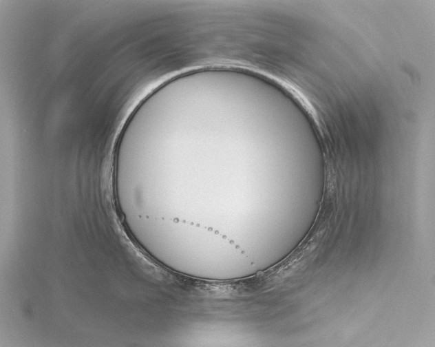 X0000115770911200912041429