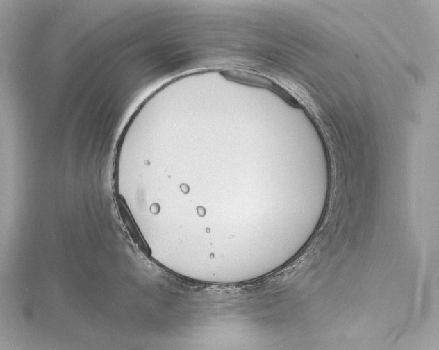 X0000115770912200912041429